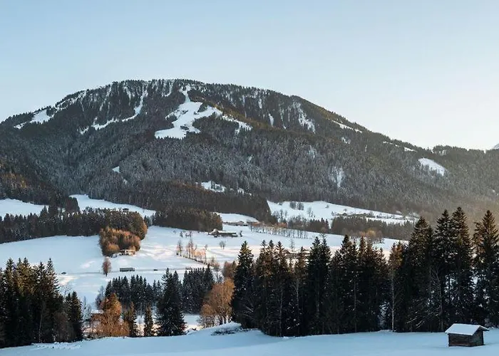 Appartement Bergliebe Scheffau am Wilden Kaiser